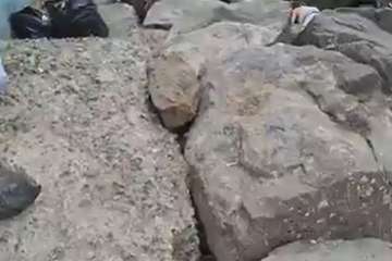 Limpieza de la escollera sur del muelle de Taliarte (Foto Pedro Martel/Wendy Cruz)